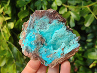Natural Drusy Coated Chrysocolla Specimens x 6 From Lupoto Mine, Congo
