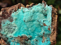 Natural Drusy Coated Chrysocolla Specimens x 6 From Lupoto Mine, Congo