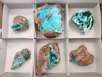 Natural Drusy Coated Chrysocolla Specimens x 6 From Lupoto Mine, Congo