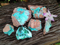 Natural Drusy Coated Chrysocolla Specimens x 6 From Lupoto Mine, Congo