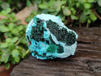 Natural Drusy Coated Chrysocolla Specimens x 6 From Lupoto Mine, Congo