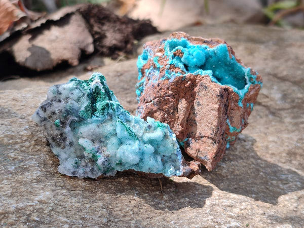 Natural Drusy Coated Chrysocolla Specimens x 6 From Lupoto Mine, Congo