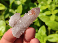 Natural Fairy Spirit Quartz Crystals x 70 From Boekenhouthoek, South Africa