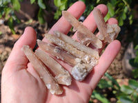 Natural Fairy Spirit Quartz Crystals x 70 From Boekenhouthoek, South Africa