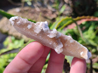 Natural Fairy Spirit Quartz Crystals x 70 From Boekenhouthoek, South Africa