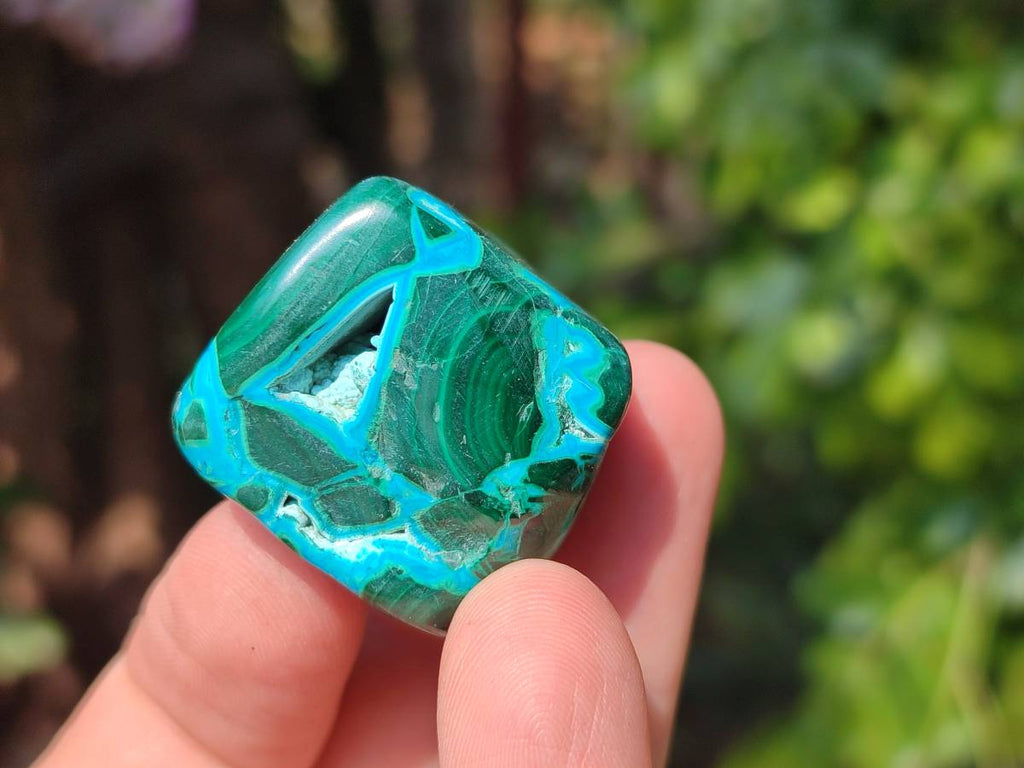 Polished Malacolla Free Forms x 20 From Kalukundi Mine, Congo - Toprock Gemstones and Minerals 