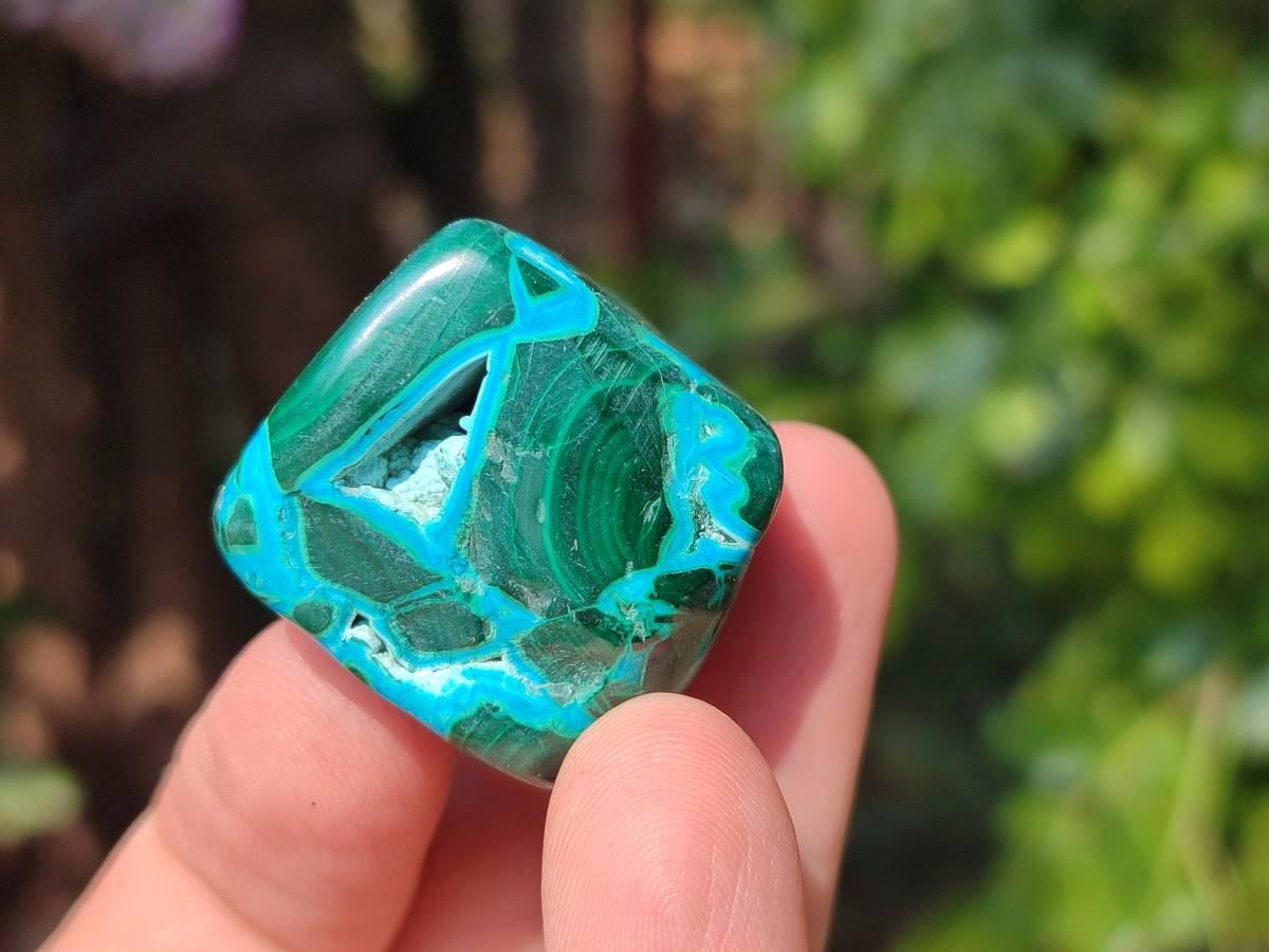 Polished Malacolla Free Forms x 20 From Kalukundi Mine, Congo - Toprock Gemstones and Minerals 