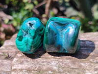Polished Malacolla Free Forms x 20 From Kalukundi Mine, Congo