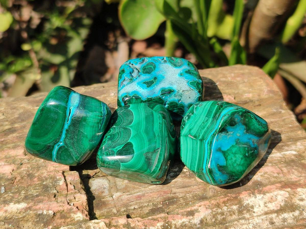 Polished Malacolla Free Forms x 20 From Kalukundi Mine, Congo - Toprock Gemstones and Minerals 