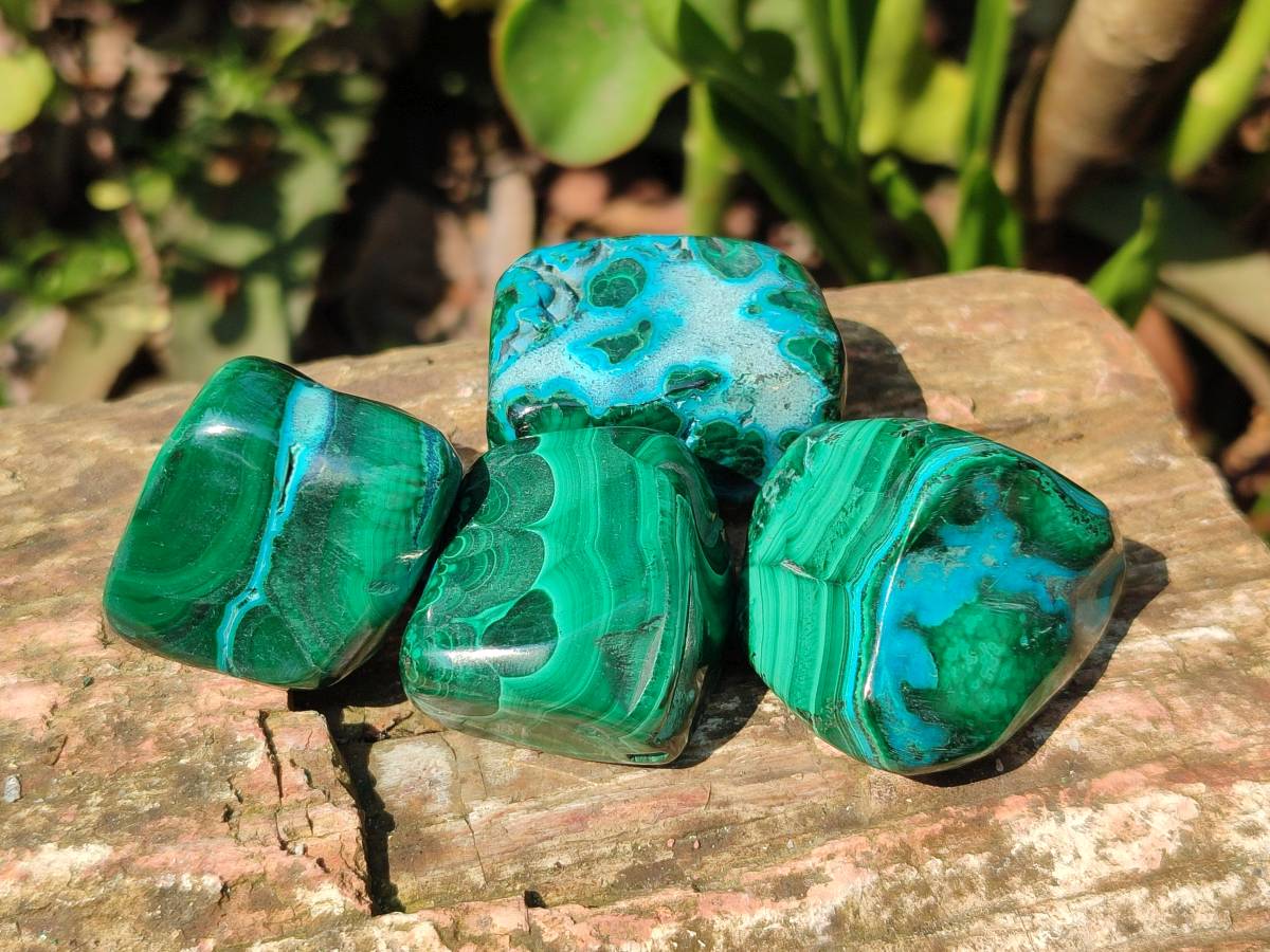 Polished Malacolla Free Forms x 20 From Kalukundi Mine, Congo - Toprock Gemstones and Minerals 