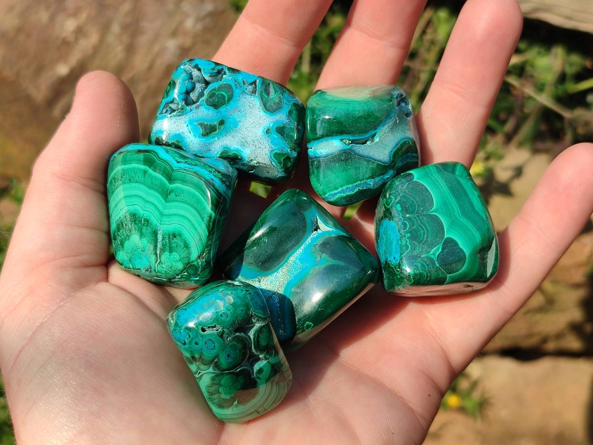 Polished Malacolla Free Forms x 20 From Kalukundi Mine, Congo - Toprock Gemstones and Minerals 