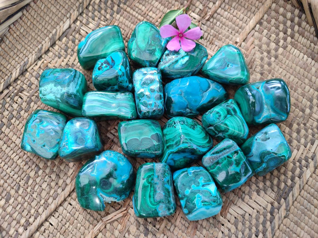 Polished Malacolla Free Forms x 20 From Kalukundi Mine, Congo - Toprock Gemstones and Minerals 