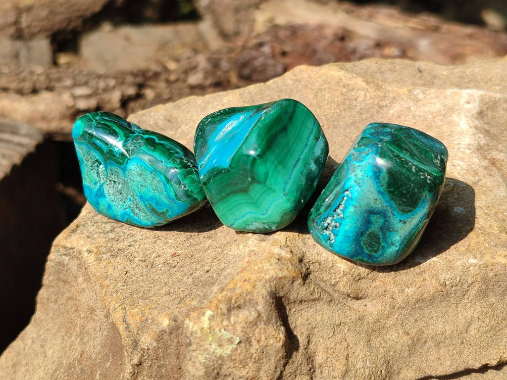 Polished Malacolla Free Forms x 20 From Kalukundi Mine, Congo - Toprock Gemstones and Minerals 