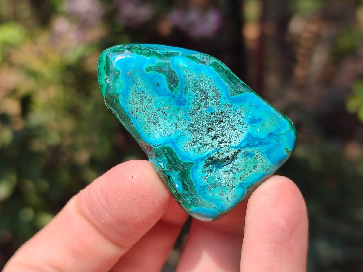 Polished Malacolla Free Forms x 20 From Kalukundi Mine, Congo - Toprock Gemstones and Minerals 