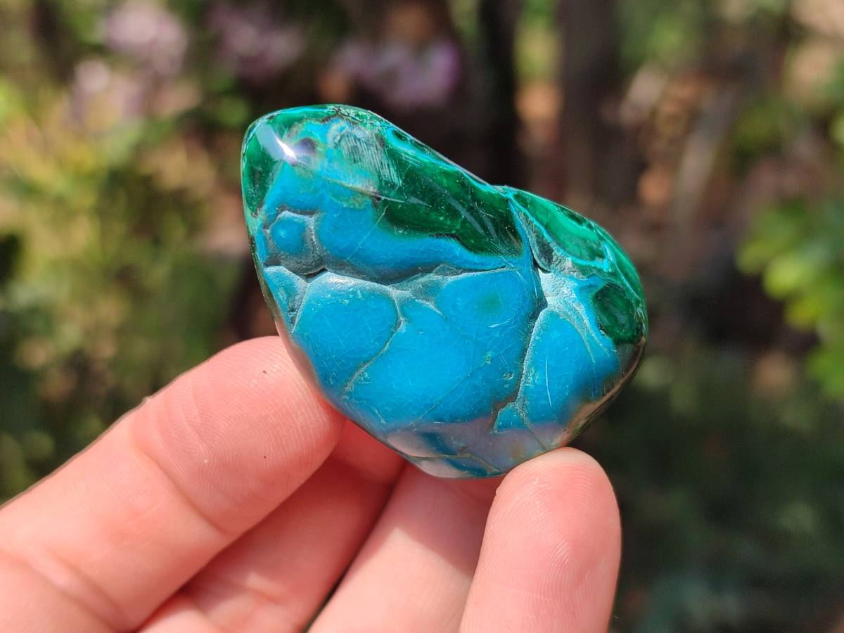 Polished Malacolla Free Forms x 20 From Kalukundi Mine, Congo - Toprock Gemstones and Minerals 