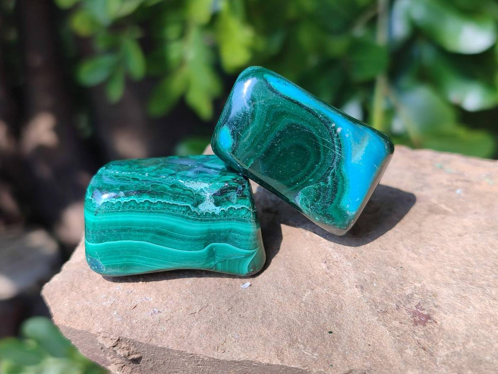 Polished Malacolla Free Forms x 20 From Kalukundi Mine, Congo - Toprock Gemstones and Minerals 