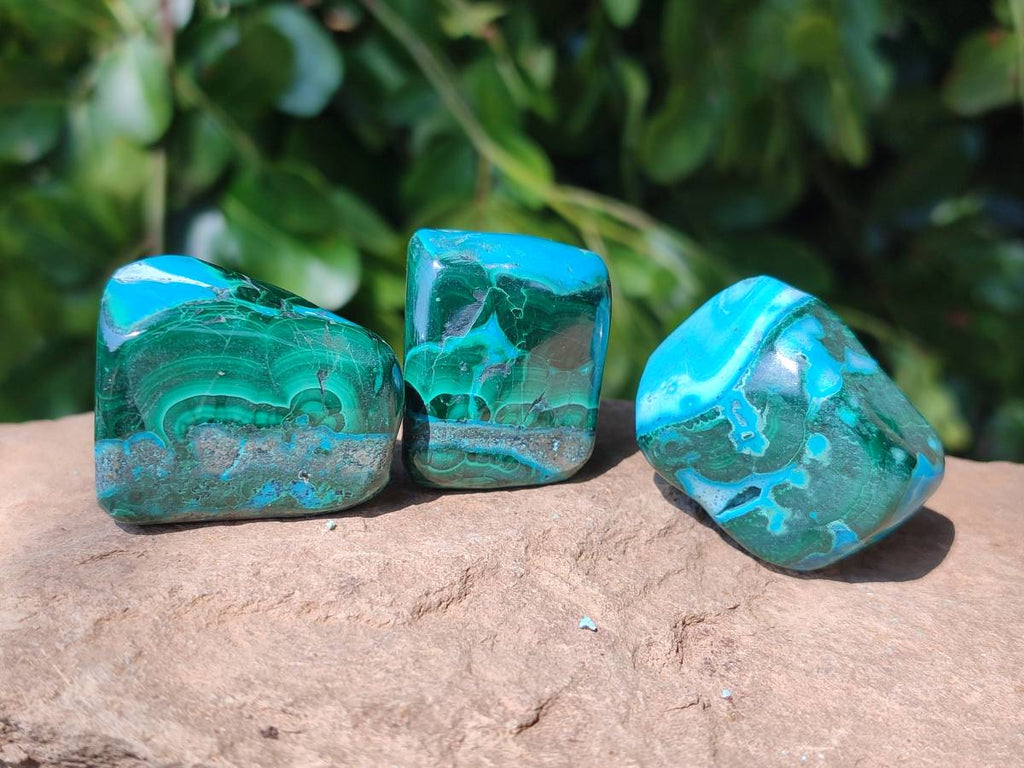 Polished Malacolla Free Forms x 20 From Kalukundi Mine, Congo - Toprock Gemstones and Minerals 