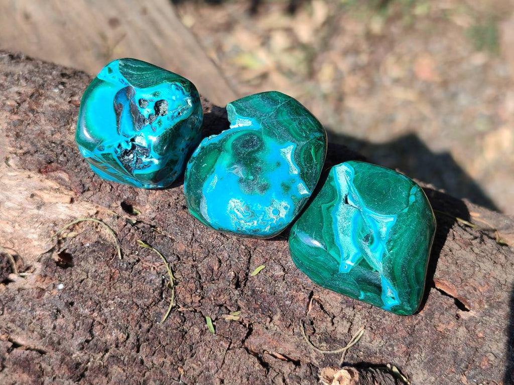 Polished Malacolla Free Forms x 20 From Kalukundi Mine, Congo - Toprock Gemstones and Minerals 