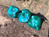 Polished Malacolla Free Forms x 20 From Kalukundi Mine, Congo