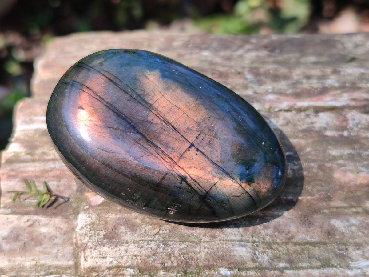 Polished Labradorite Palm Stones x 20 From Tulear, Madagascar - Toprock Gemstones and Minerals 