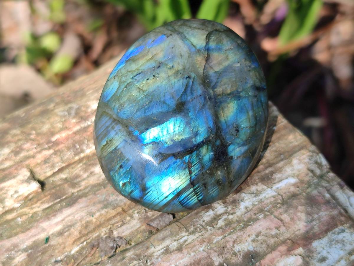 Polished Labradorite Palm Stones x 20 From Tulear, Madagascar - Toprock Gemstones and Minerals 