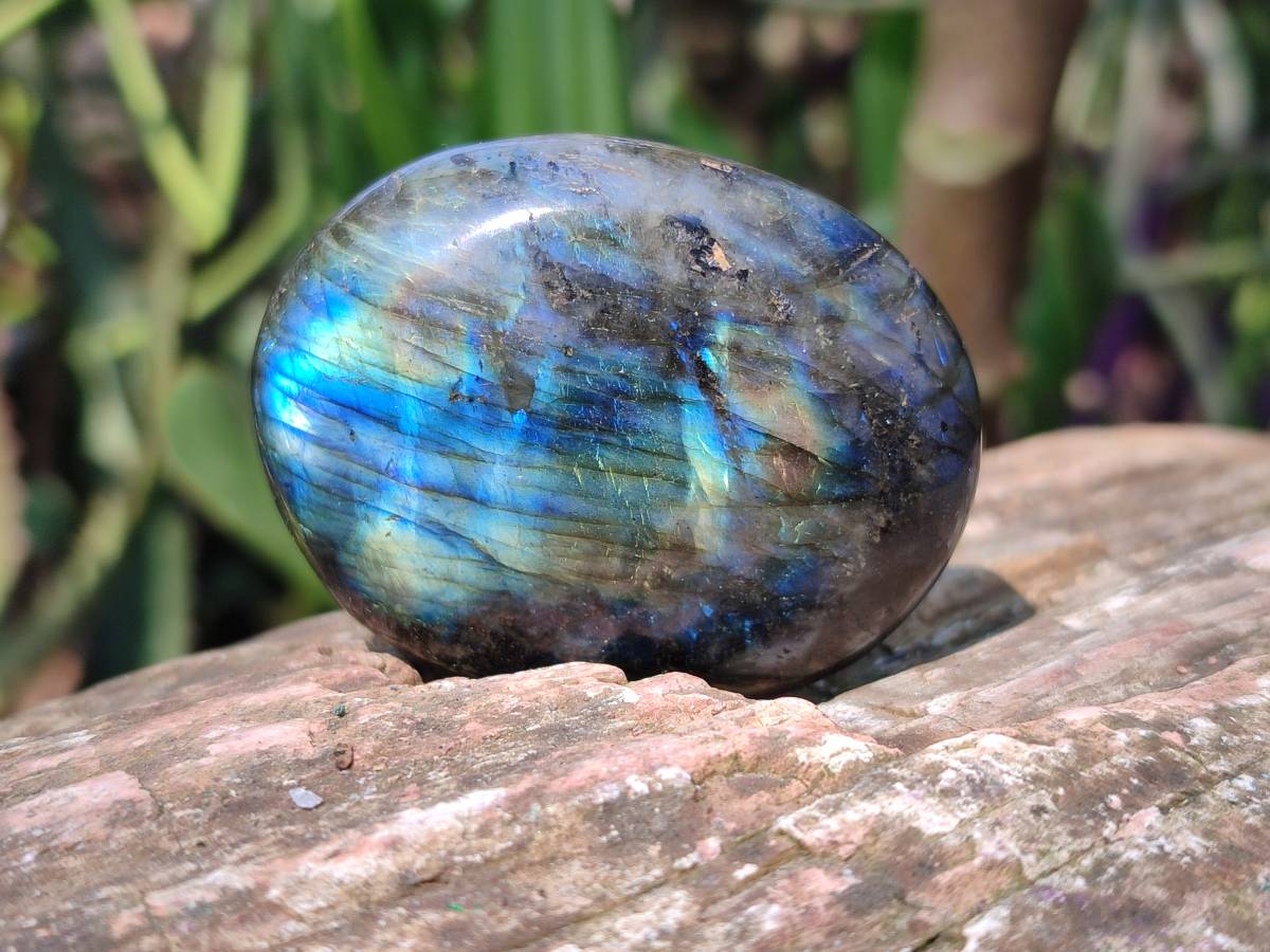 Polished Labradorite Palm Stones x 20 From Tulear, Madagascar - Toprock Gemstones and Minerals 