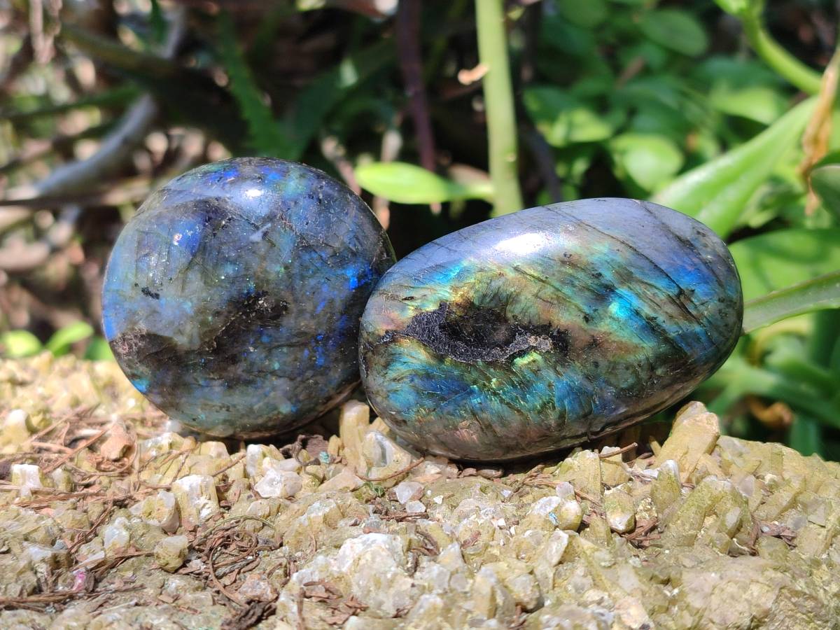 Polished Labradorite Palm Stones x 20 From Tulear, Madagascar - Toprock Gemstones and Minerals 