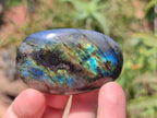 Polished Labradorite Palm Stones x 20 From Tulear, Madagascar - Toprock Gemstones and Minerals 