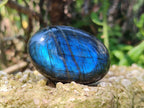 Polished Labradorite Palm Stones x 20 From Tulear, Madagascar - Toprock Gemstones and Minerals 
