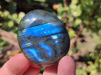 Polished Labradorite Palm Stones x 20 From Tulear, Madagascar - Toprock Gemstones and Minerals 