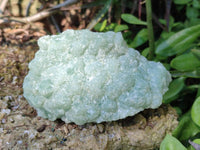 Natural Botryoidal Prehnite Specimens x 2 From Beaufort West, South Africa