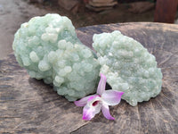 Natural Botryoidal Prehnite Specimens x 2 From Beaufort West, South Africa