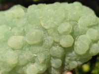 Natural Botryoidal Prehnite Specimens x 2 From Beaufort West, South Africa