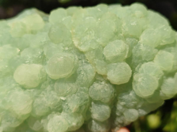 Natural Botryoidal Prehnite Specimens x 2 From Beaufort West, South Africa