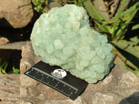Natural Botryoidal Prehnite Specimens x 2 From Beaufort West, South Africa