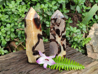 Polished Septerye Towers x 2 From Mahajanga, Madagascar
