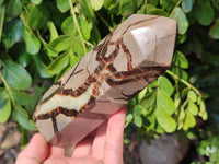 Polished Septerye Towers x 2 From Mahajanga, Madagascar
