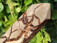 Polished Septerye Towers x 2 From Mahajanga, Madagascar