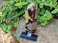 Polished Septerye Towers x 2 From Mahajanga, Madagascar