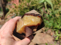 Polished Septerye Towers x 2 From Mahajanga, Madagascar