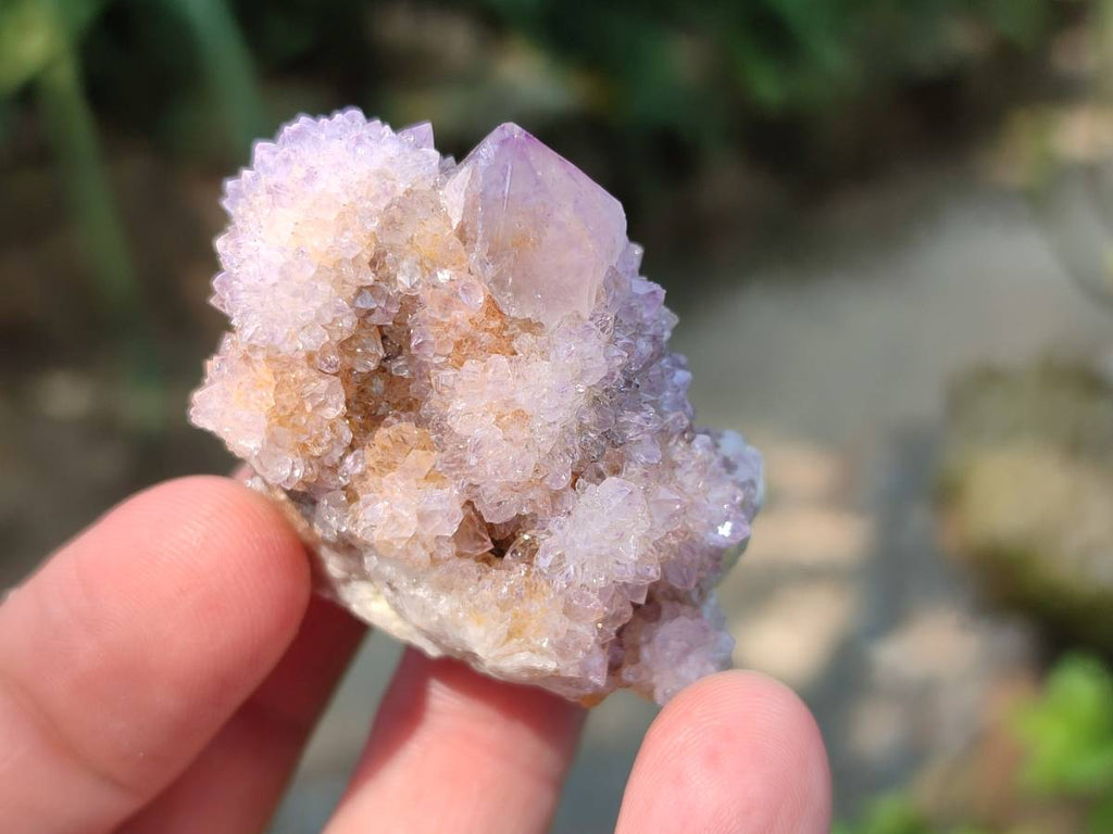Natural Amethyst Spirit Quartz Clusters x 20 From Boekenhouthoek, South Africa - Toprock Gemstones and Minerals 