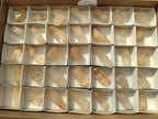 Natural Quartz Crystals x 35 From Madagascar - Toprock Gemstones and Minerals 