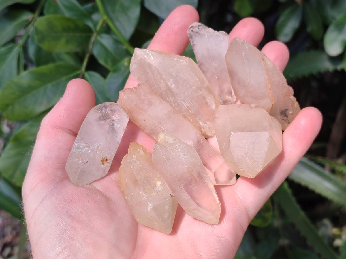 Natural Quartz Crystals x 35 From Madagascar - Toprock Gemstones and Minerals 