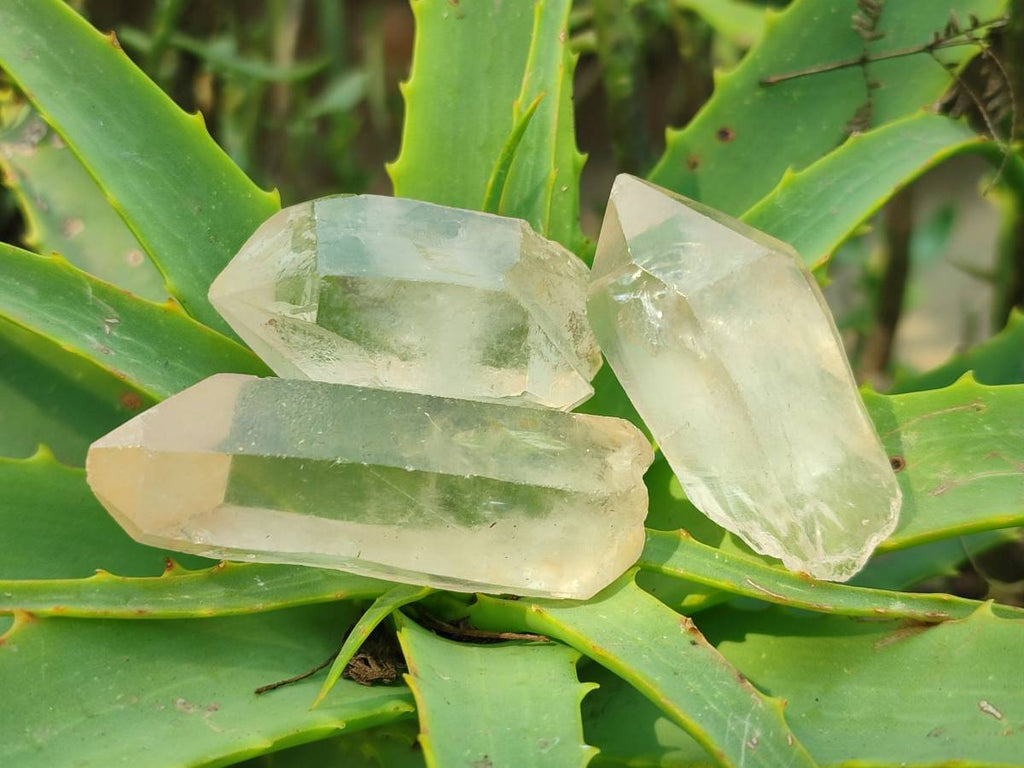 Natural Quartz Crystals x 35 From Madagascar - Toprock Gemstones and Minerals 