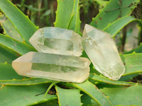 Natural Quartz Crystals x 35 From Madagascar