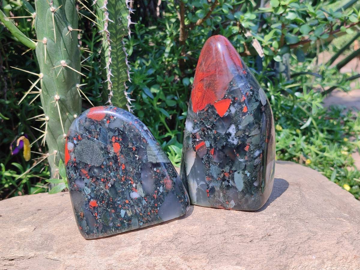 Polished Bloodstone Standing Free Forms x 2 From Swaziland - Toprock Gemstones and Minerals 