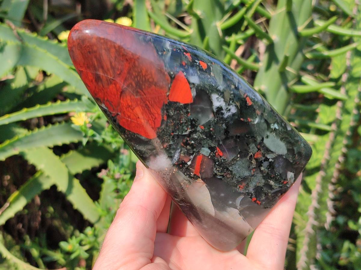 Polished Bloodstone Standing Free Forms x 2 From Swaziland - Toprock Gemstones and Minerals 
