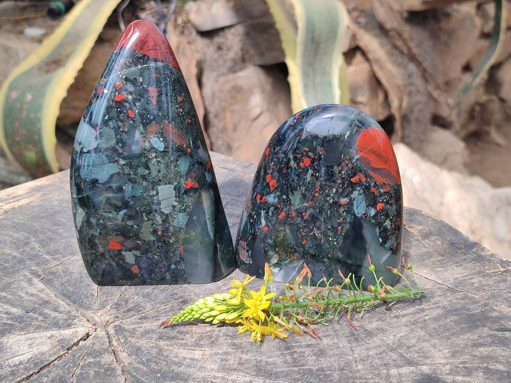 Polished Bloodstone Standing Free Forms x 2 From Swaziland - Toprock Gemstones and Minerals 