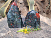 Polished Bloodstone Standing Free Forms x 2 From Swaziland
