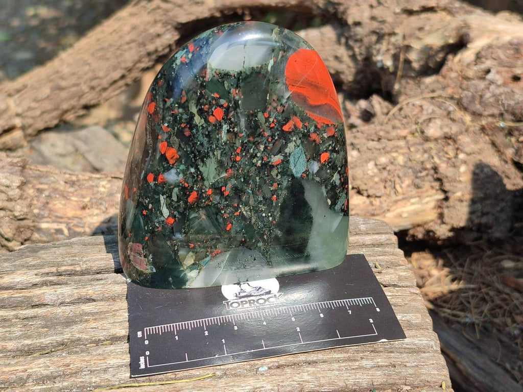 Polished Bloodstone Standing Free Forms x 2 From Swaziland - Toprock Gemstones and Minerals 